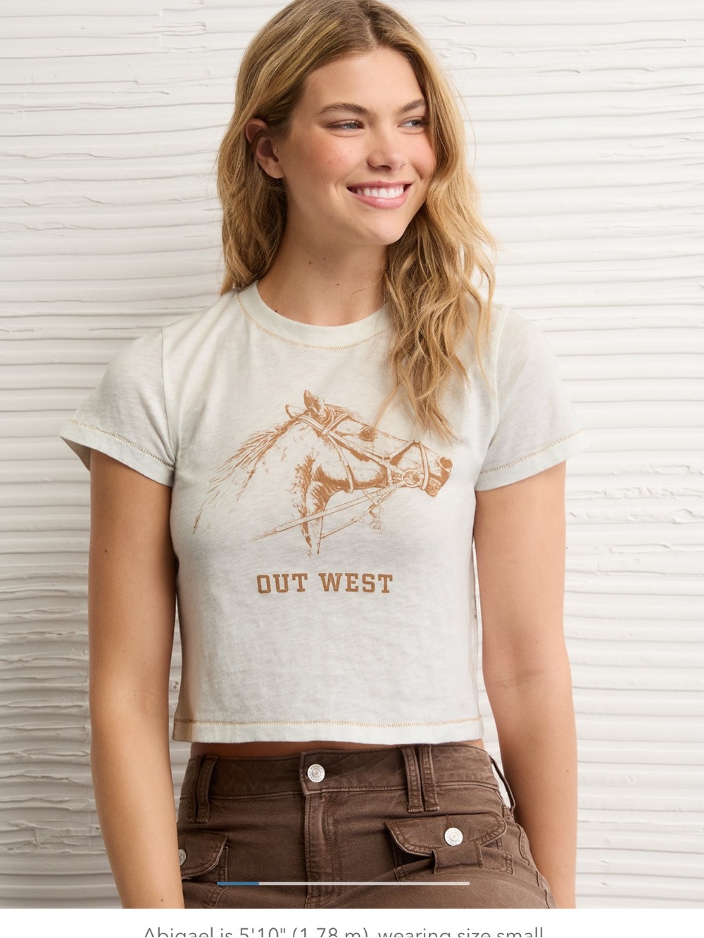 AE Western Graphic Shrunken Tee